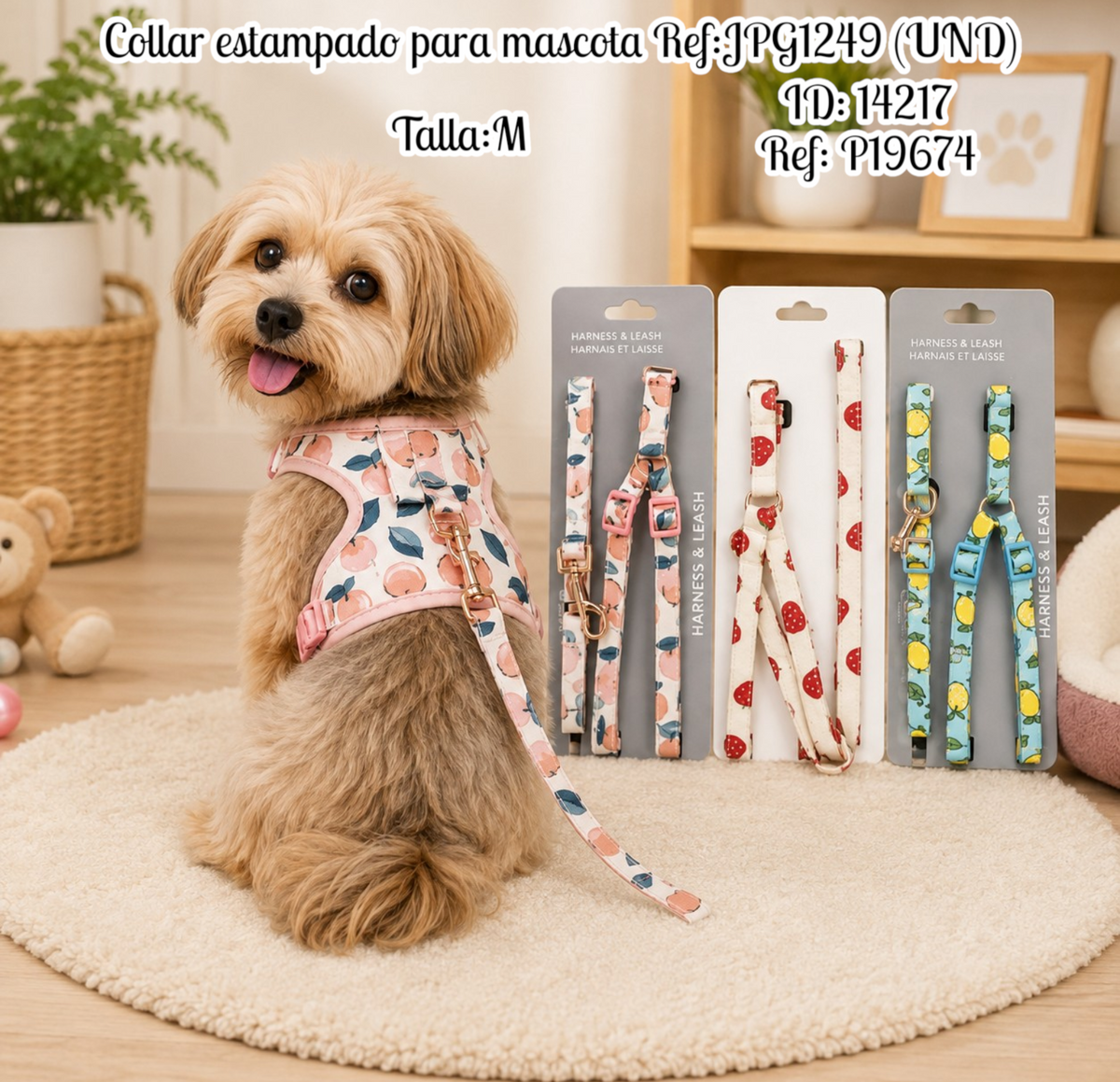 Collar estampado para mascota Ref:JPG1249 (UND)