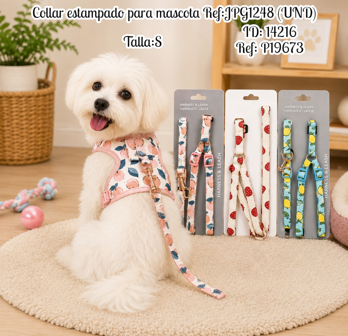 Collar estampado para mascota Ref:JPG1248 (UND)