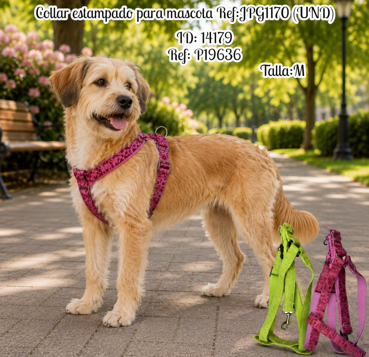 Collar estampado para mascota Ref:JPG1170 (UND)