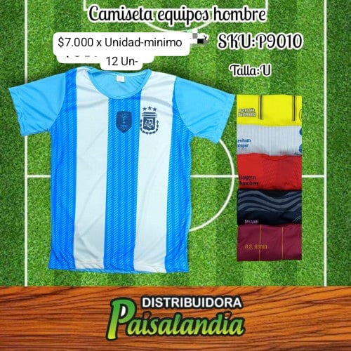 Camiseta equipos hombre (DC)