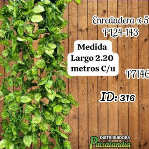 Enredadera decoración x5 unidades PL24-143 (UND)