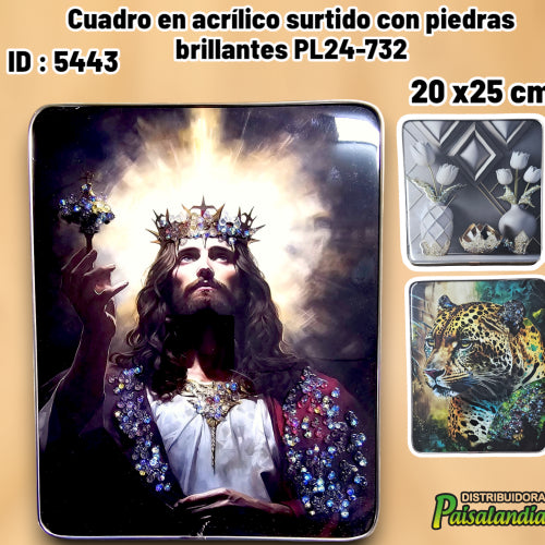 Cuadro en acrílico surtido con piedras brillantes PL24-732 (UND)