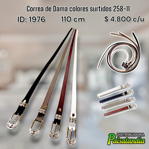 Correa de dama colores surtidos 258-11 (UND)
