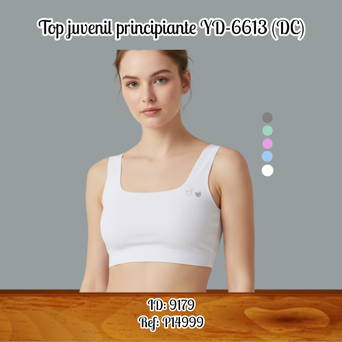 Brasier principiante YD6613 (DC)