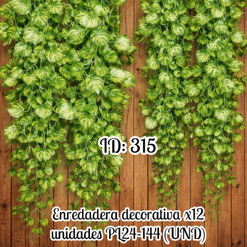 Enredadera decorativa x12 unidades PL24-144 (UND)