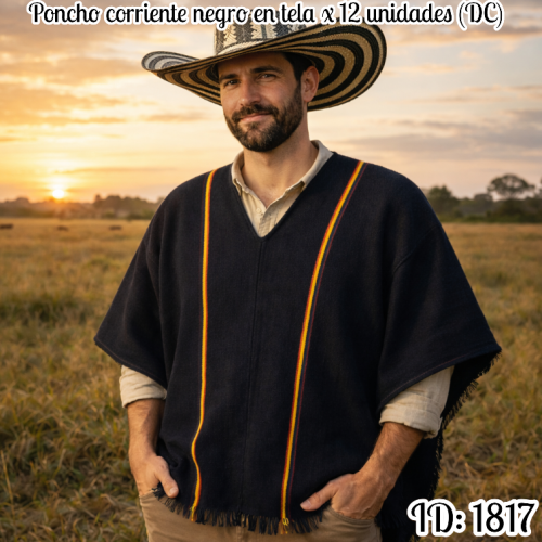 Poncho corriente negro en tela  x 12 unidades (DC)