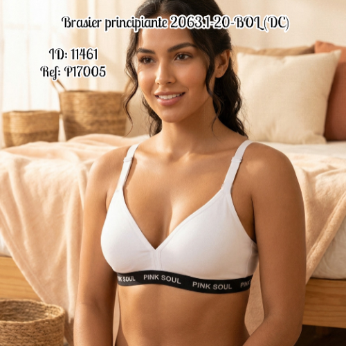 Brasier principiante 2063.1-20-BOL (DC)