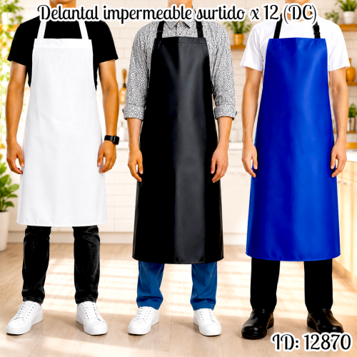 Delantal impermeable surtido x 12 (DC)