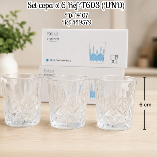 Set copa x 6 Ref:T603 (UND)