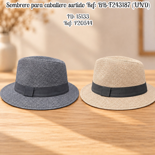 Sombrero para caballero surtido Ref: BB-F243187 (UND)