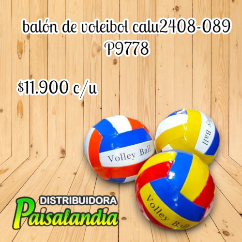 Balón de voleibol calu2408-089 (UND)