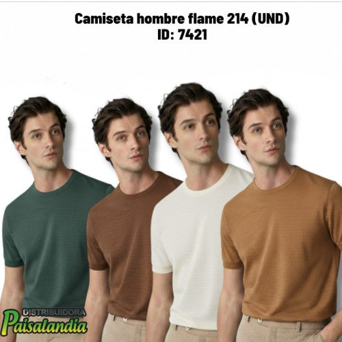 Camiseta hombre flame 214 (UND)