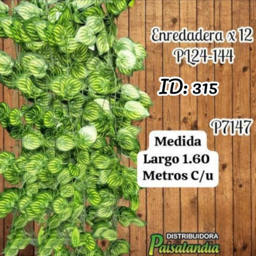 Enredadera decorativa x12 unidades PL24-144 (UND)