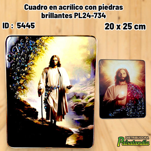 Cuadro en acrílico con piedras brillantes PL24-734 (UND)