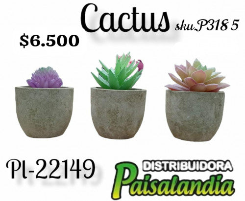 Cactus decorativo con matera PL-22149 (UND)