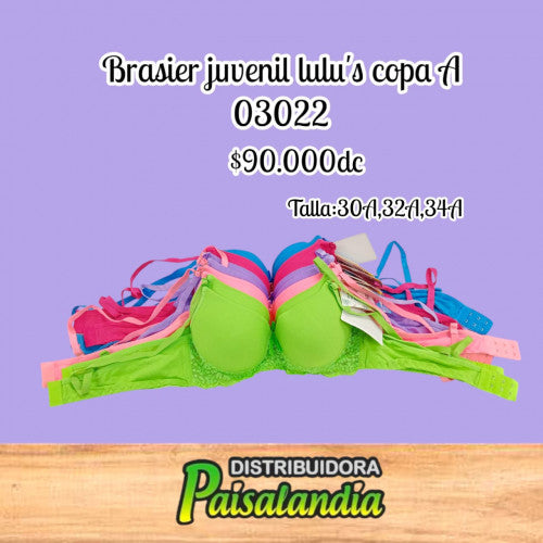 brasier lulus color 03022