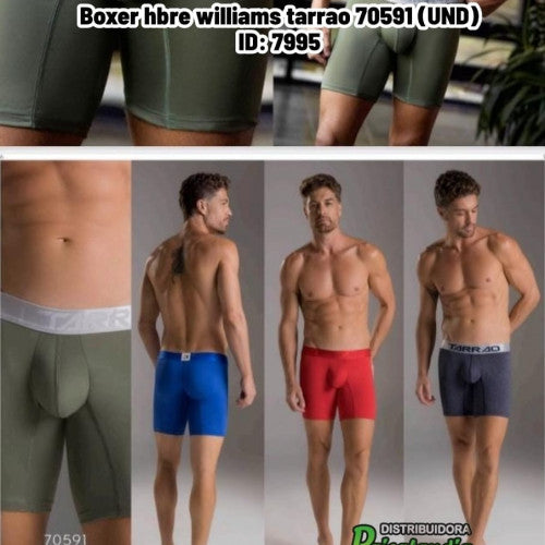 Boxer hbre williams tarrao 70591 (UND)