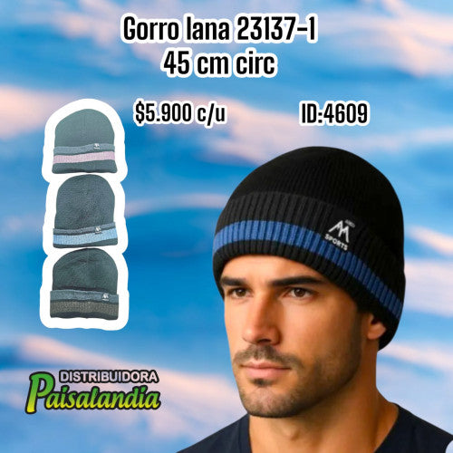 Gorro lana colores surtidos 23137-1 (UND)