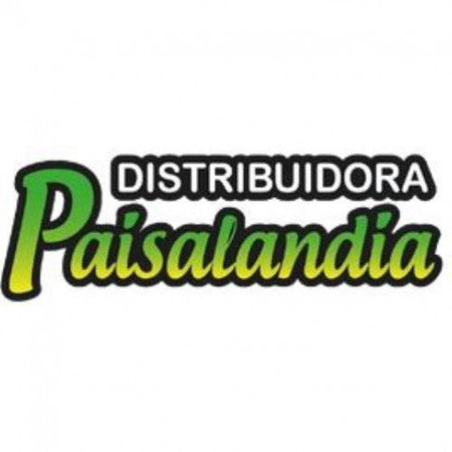 conjunto tool almohada oso carro 227 (UND)