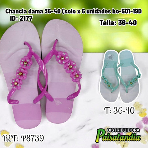 Chancla dama 36-40 bo-501-19D (SOLO X 6 UNIDADES)