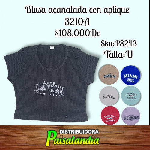 Blusa acanalada con aplique 3210A