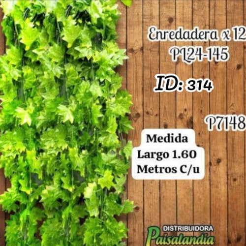 Enredadera decorativa x12 unidades PL24-145 (UND)