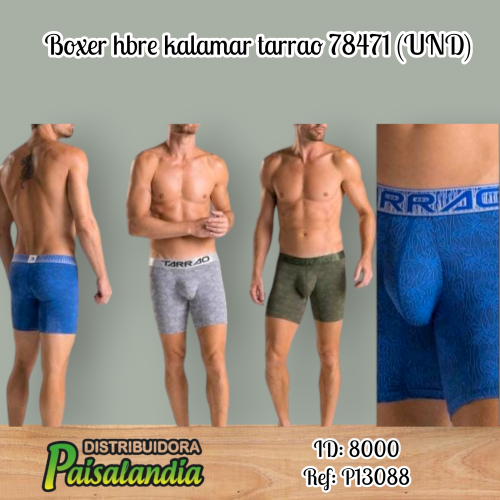 Boxer hbre kalamar tarrao 78471 (UND)