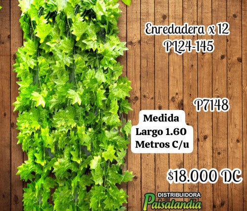 Enredadera x 12 unidades PL24-145