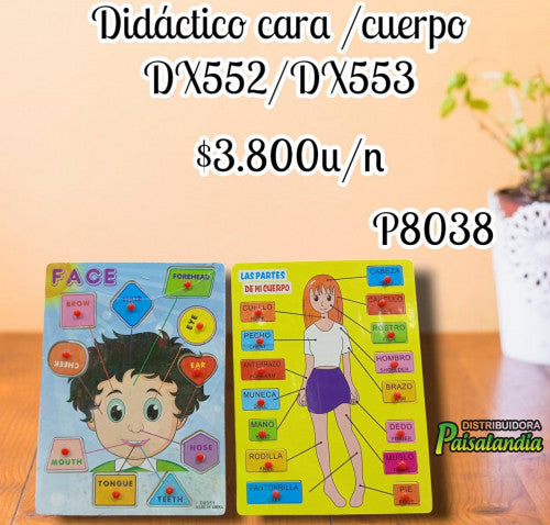 Juguete didáctico caras/cuerpo DX552/DX553 (UND)