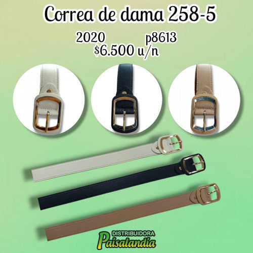 Correa dama colores surtidos 258-5 (UND)