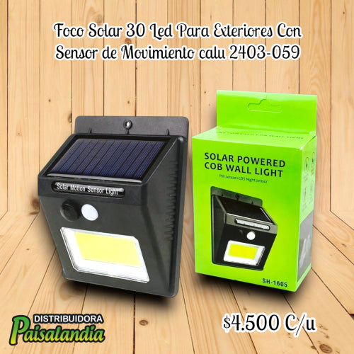 Foco solar 30 LED sensor movimiento exteriores calu 2403-059 (UND)